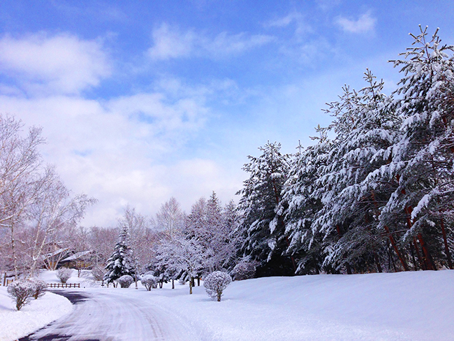 雪景色 スマホで撮影した写真をもっとステキに！ プロが教える雪景色の ...