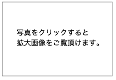 写真をクリックすると拡大画像をご覧頂けます。