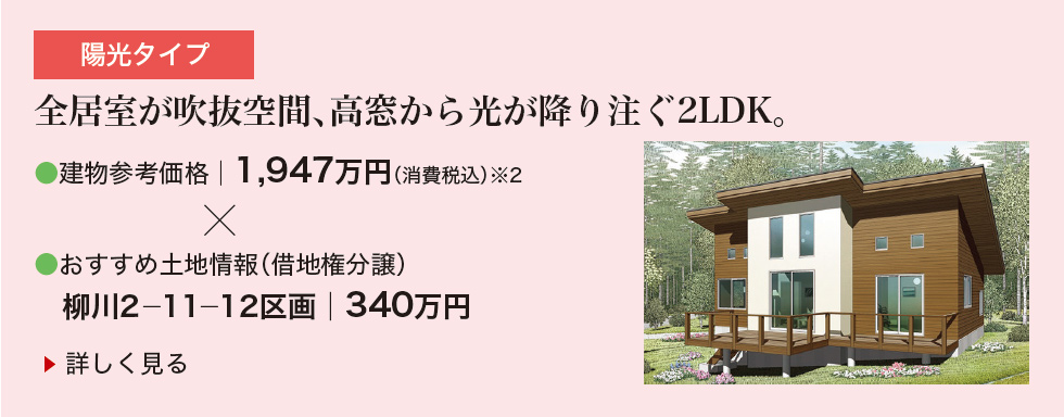 陽光タイプ