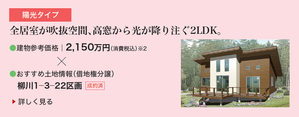 陽光タイプ