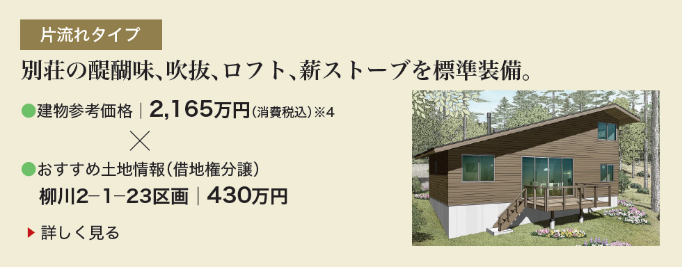 片流れタイプ