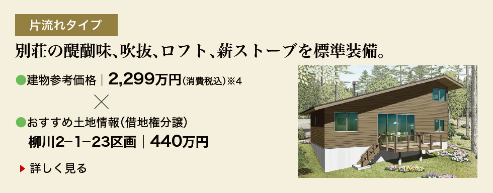片流れタイプ