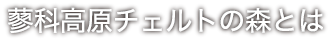 蓼科高原チェルトの森とは