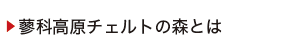 蓼科高原チェルトの森とは