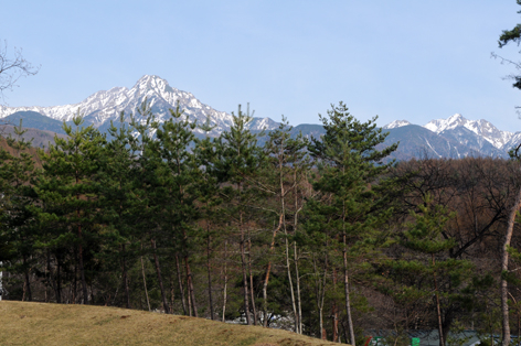 春色の阿弥陀岳・赤岳