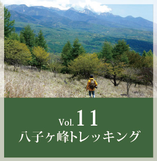 Vol.11へ